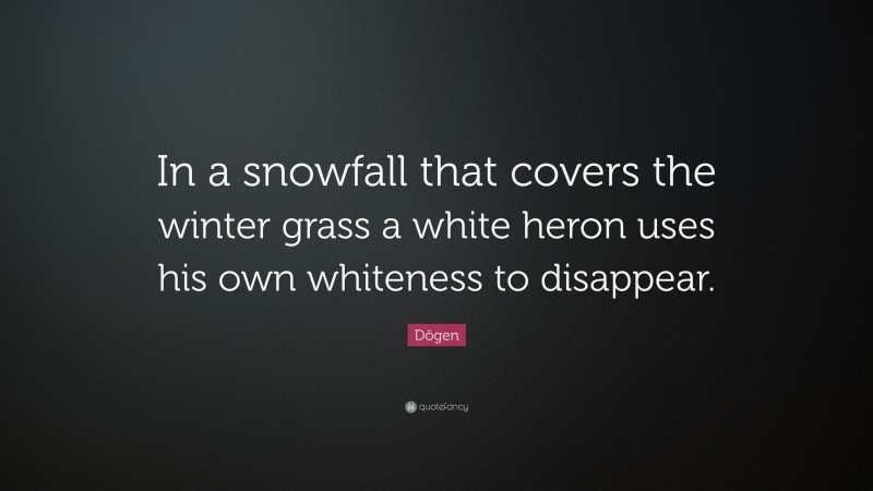 Dōgen Quote: “In a snowfall that covers the winter grass a white heron uses his own whiteness to disappear.”