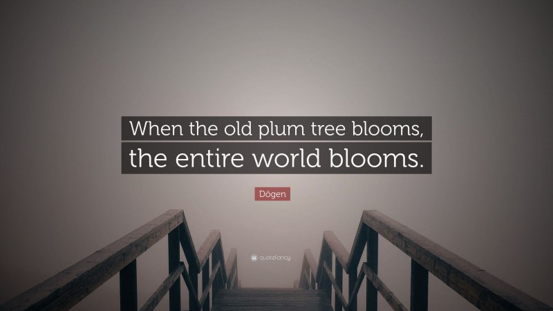 Dōgen Quote: “When the old plum tree blooms, the entire world blooms.”