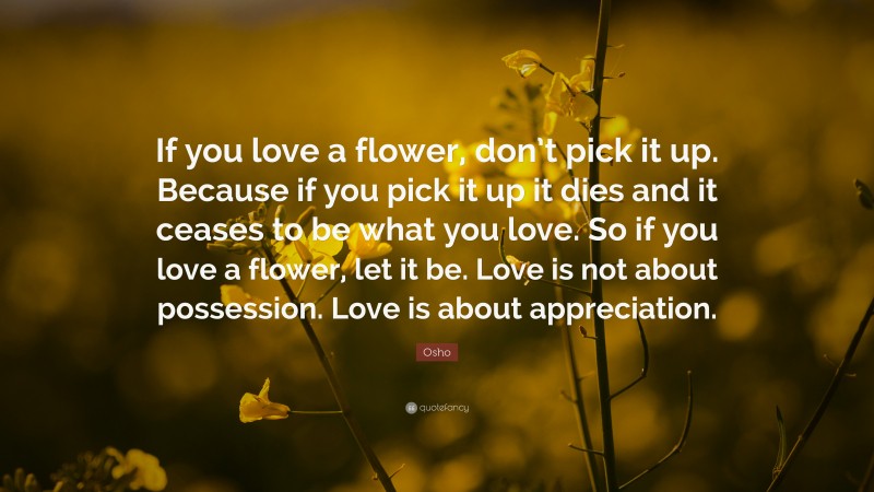 Osho Quote: “If you love a flower, don’t pick it up. Because if you pick it up it dies and it ceases to be what you love. So if you love a flower, let it be. Love is not about possession. Love is about appreciation.”