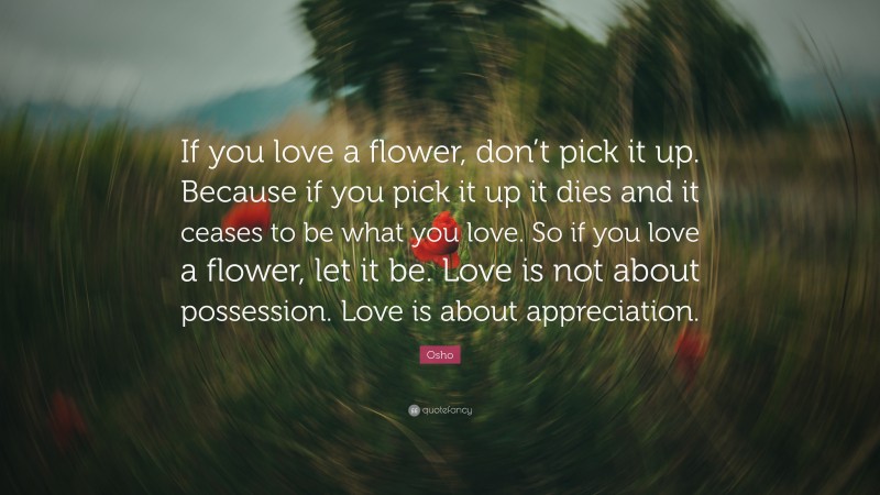 Osho Quote: “If you love a flower, don’t pick it up. Because if you pick it up it dies and it ceases to be what you love. So if you love a flower, let it be. Love is not about possession. Love is about appreciation.”
