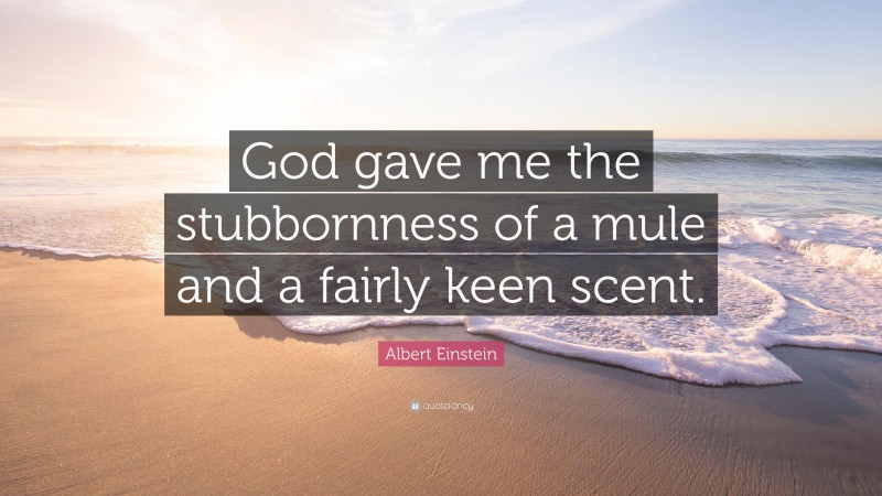 Albert Einstein Quote: “God gave me the stubbornness of a mule and a fairly keen scent.”