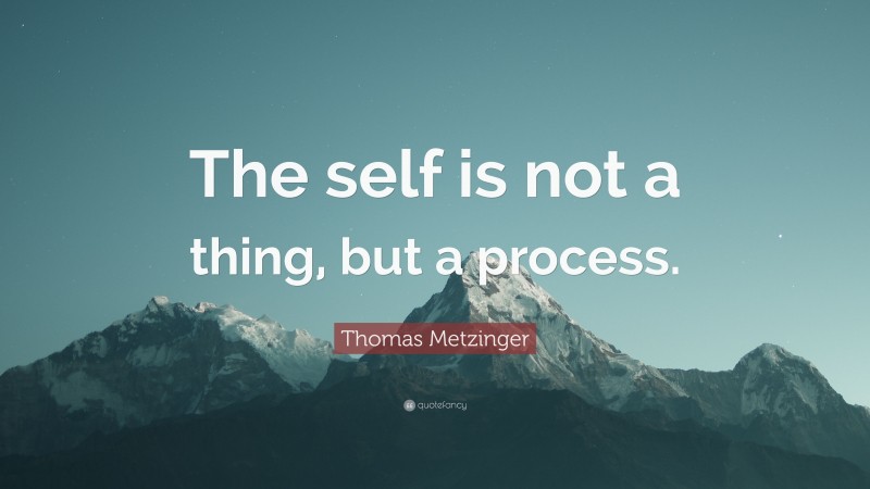 Thomas Metzinger Quote: “The self is not a thing, but a process.”