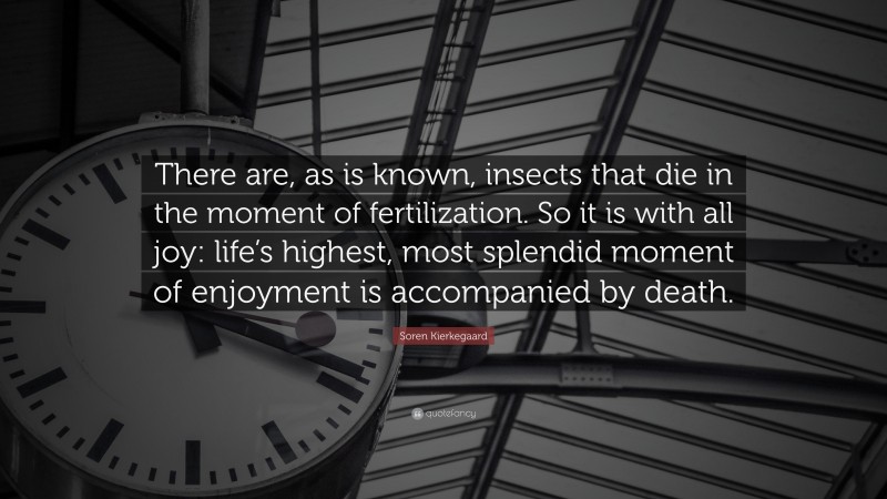 Soren Kierkegaard Quote: “There are, as is known, insects that die in the moment of fertilization. So it is with all joy: life’s highest, most splendid moment of enjoyment is accompanied by death.”