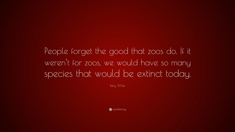 Betty White Quote: “People forget the good that zoos do. If it weren’t for zoos, we would have so many species that would be extinct today.”