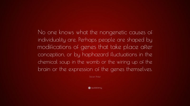 Steven Pinker Quote: “No one knows what the nongenetic causes of individuality are. Perhaps people are shaped by modifications of genes that take place after conception, or by haphazard fluctuations in the chemical soup in the womb or the wiring up of the brain or the expression of the genes themselves.”