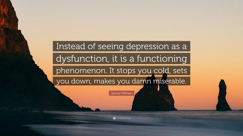 James Hillman Quote: “Instead of seeing depression as a dysfunction, it is a functioning phenomenon. It stops you cold, sets you down, makes you damn miserable.”
