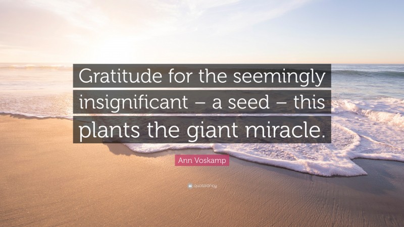 Ann Voskamp Quote: “Gratitude for the seemingly insignificant – a seed – this plants the giant miracle.”