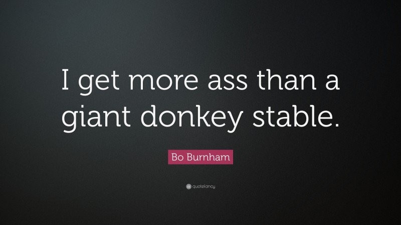 Bo Burnham Quote: “I get more ass than a giant donkey stable.”