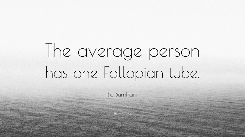 Bo Burnham Quote: “The average person has one Fallopian tube.”