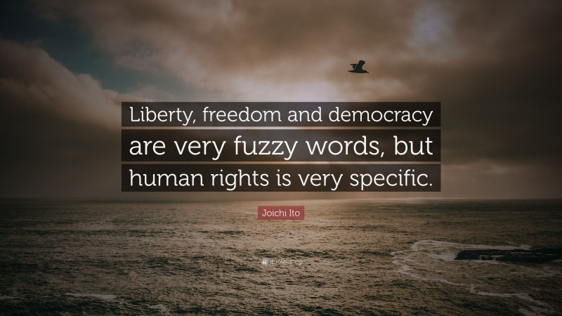 Joichi Ito Quote: “Liberty, freedom and democracy are very fuzzy words, but human rights is very specific.”
