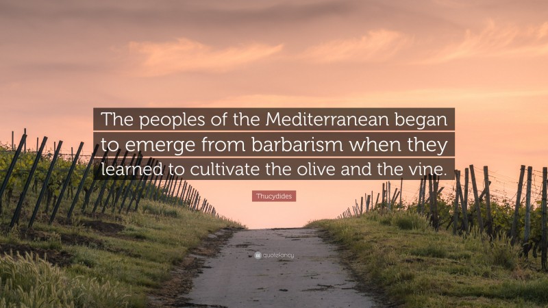 Thucydides Quote: “The peoples of the Mediterranean began to emerge from barbarism when they learned to cultivate the olive and the vine.”