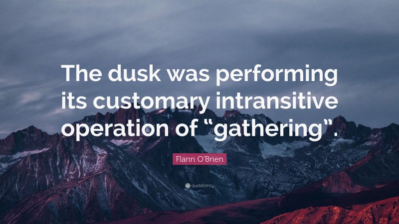 Flann O'Brien Quote: “The dusk was performing its customary intransitive operation of “gathering”.”