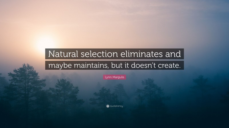 Lynn Margulis Quote: “Natural selection eliminates and maybe maintains, but it doesn’t create.”