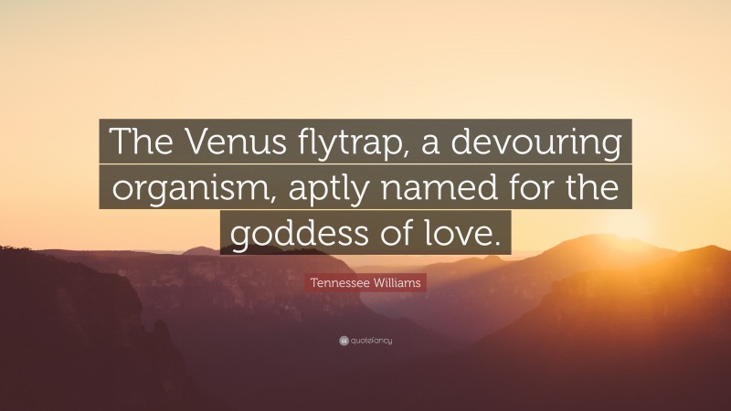 Tennessee Williams Quote: “The Venus flytrap, a devouring organism, aptly named for the goddess of love.”