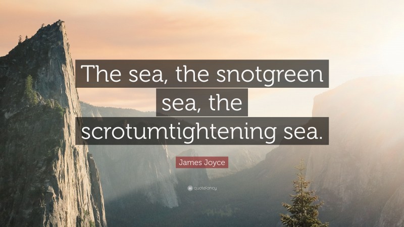James Joyce Quote: “The sea, the snotgreen sea, the scrotumtightening sea.”