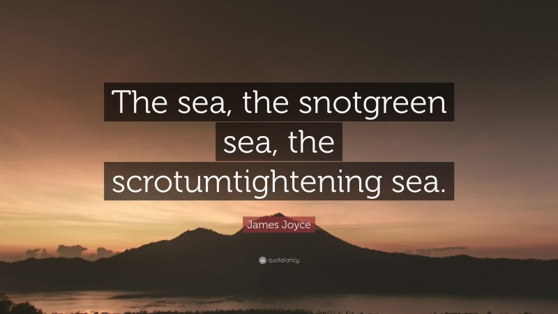 James Joyce Quote: “The sea, the snotgreen sea, the scrotumtightening sea.”