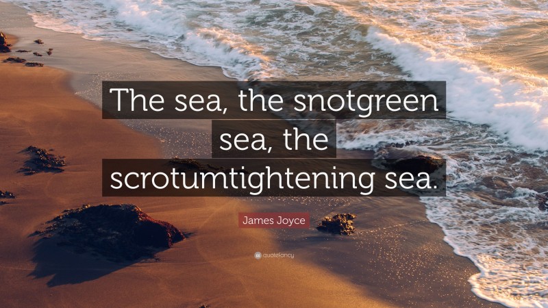 James Joyce Quote: “The sea, the snotgreen sea, the scrotumtightening sea.”