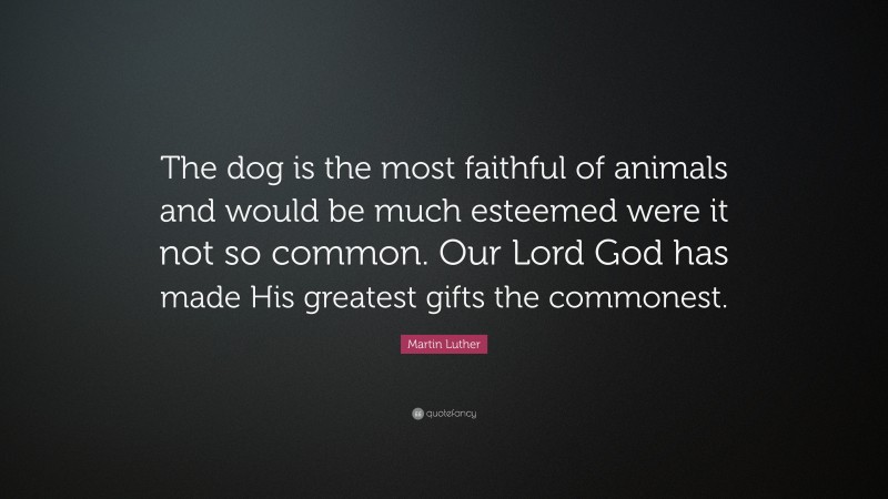 Martin Luther Quote: “The dog is the most faithful of animals and would be much esteemed were it not so common. Our Lord God has made His greatest gifts the commonest.”