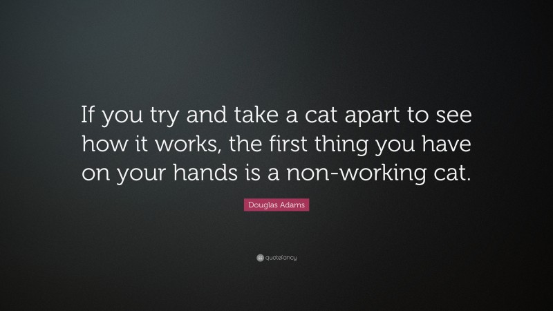 Douglas Adams Quote: “If you try and take a cat apart to see how it works, the first thing you have on your hands is a non-working cat.”