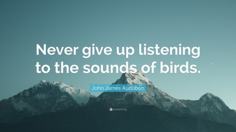 John James Audubon Quote: “Never give up listening to the sounds of birds.”