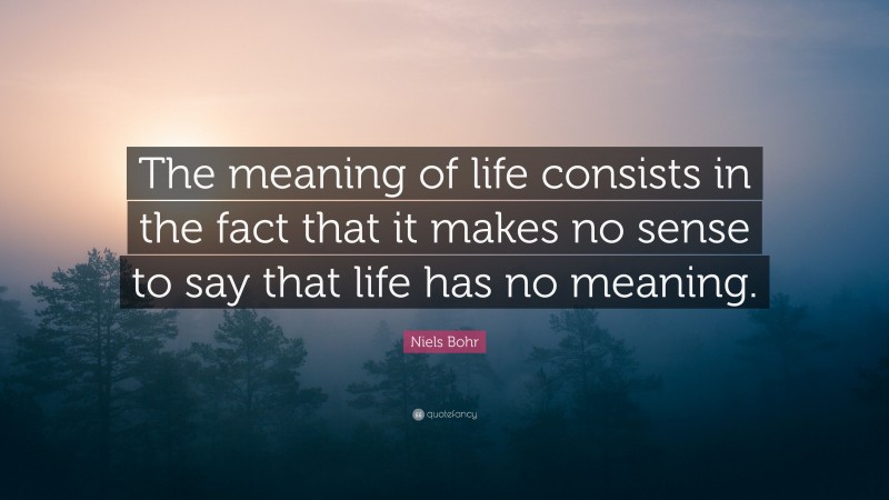 Niels Bohr Quote: “The meaning of life consists in the fact that it makes no sense to say that life has no meaning.”