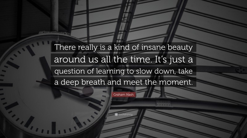 Graham Nash Quote: “There really is a kind of insane beauty around us all the time. It’s just a question of learning to slow down, take a deep breath and meet the moment.”