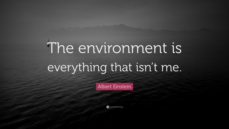 Albert Einstein Quote: “The environment is everything that isn’t me.”