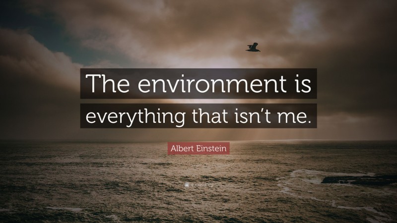Albert Einstein Quote: “The environment is everything that isn’t me.”
