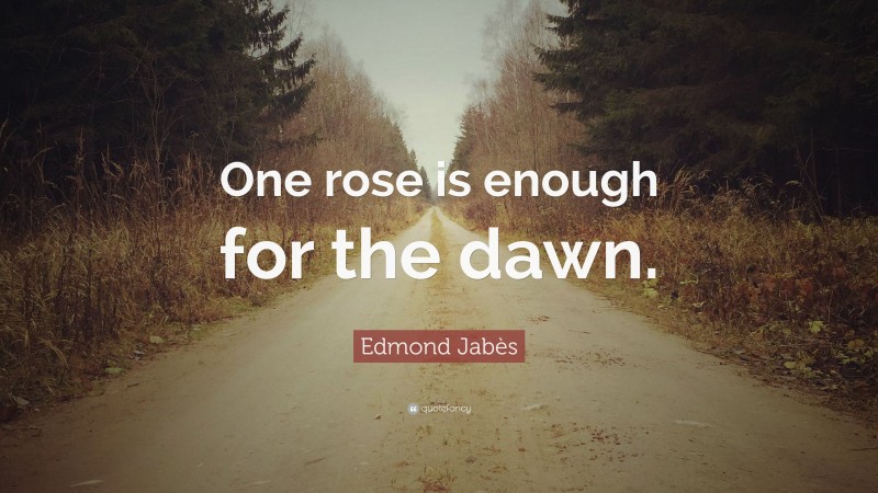 Edmond Jabès Quote: “One rose is enough for the dawn.”