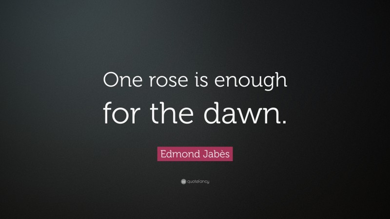 Edmond Jabès Quote: “One rose is enough for the dawn.”