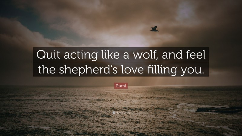 Rumi Quote: “Quit acting like a wolf, and feel the shepherd’s love filling you.”