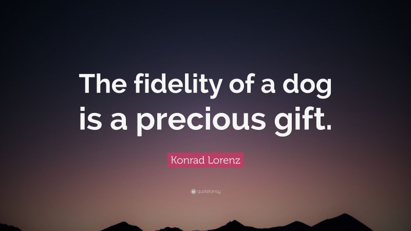 Konrad Lorenz Quote: “The fidelity of a dog is a precious gift.”