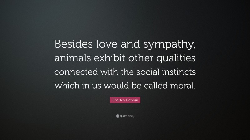 Charles Darwin Quote: “Besides love and sympathy, animals exhibit other qualities connected with the social instincts which in us would be called moral.”