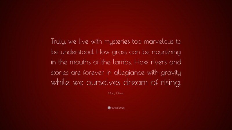 Mary Oliver Quote: “Truly, we live with mysteries too marvelous to be understood. How grass can be nourishing in the mouths of the lambs. How rivers and stones are forever in allegiance with gravity while we ourselves dream of rising.”