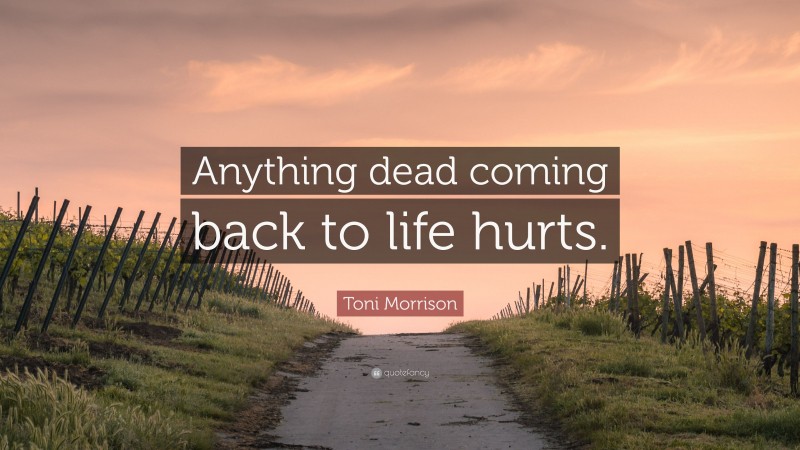 Toni Morrison Quote: “Anything dead coming back to life hurts.”