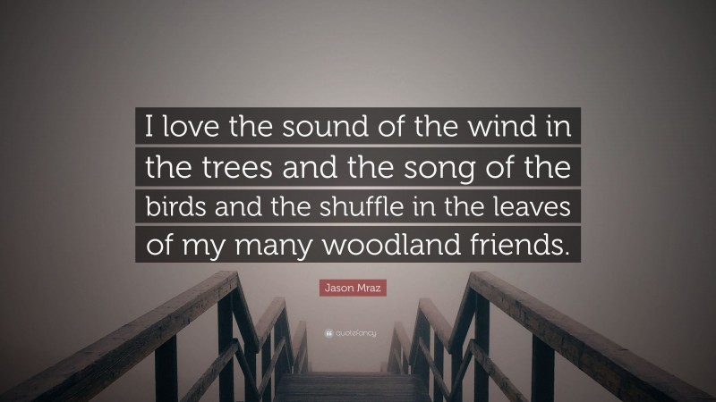 Jason Mraz Quote: “I love the sound of the wind in the trees and the song of the birds and the shuffle in the leaves of my many woodland friends.”