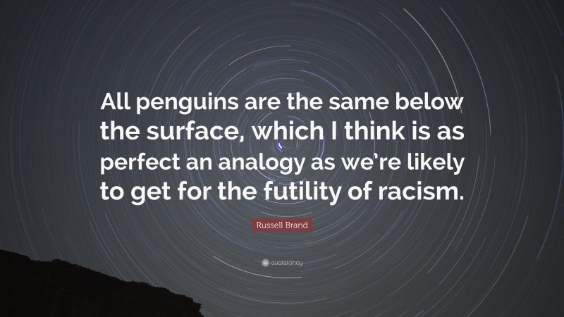 Russell Brand Quote: “All penguins are the same below the surface, which I think is as perfect an analogy as we’re likely to get for the futility of racism.”