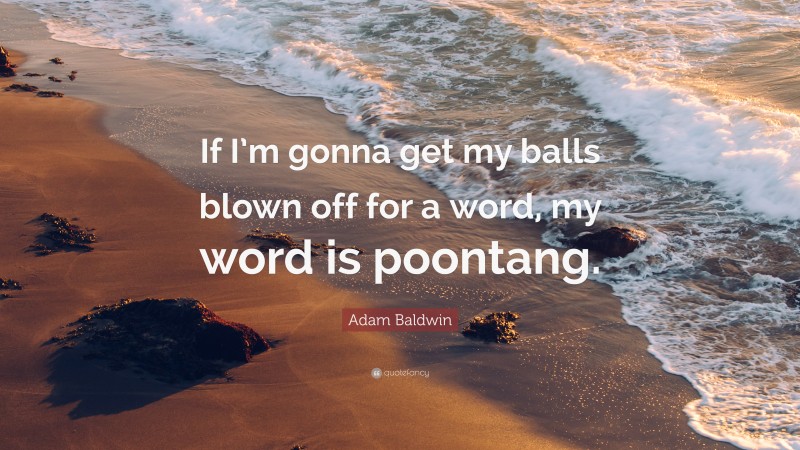 Adam Baldwin Quote: “If I’m gonna get my balls blown off for a word, my word is poontang.”