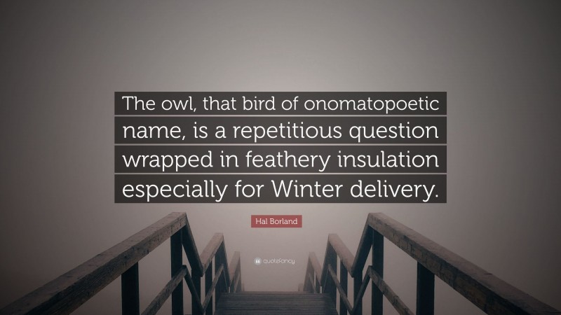 Hal Borland Quote: “The owl, that bird of onomatopoetic name, is a repetitious question wrapped in feathery insulation especially for Winter delivery.”