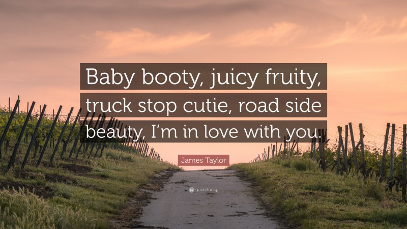 James Taylor Quote: “Baby booty, juicy fruity, truck stop cutie, road side beauty, I’m in love with you.”