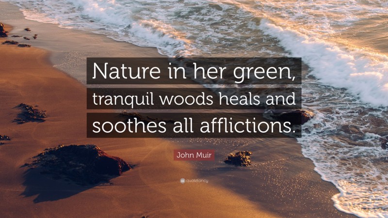 John Muir Quote: “Nature in her green, tranquil woods heals and soothes all afflictions.”