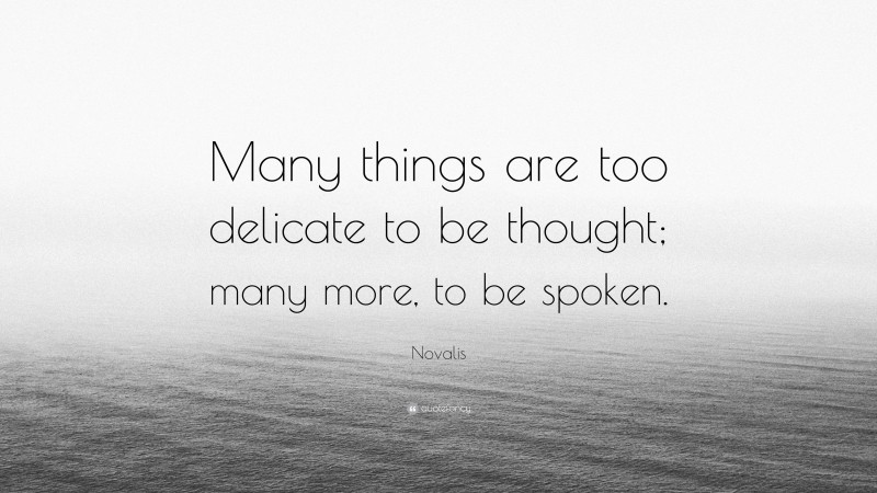 Novalis Quote: “Many things are too delicate to be thought; many more, to be spoken.”