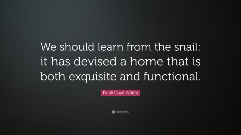 Frank Lloyd Wright Quote: “We should learn from the snail: it has devised a home that is both exquisite and functional.”