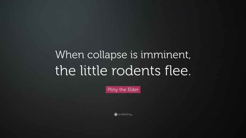 Pliny the Elder Quote: “When collapse is imminent, the little rodents flee.”