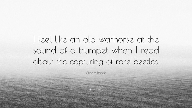 Charles Darwin Quote: “I feel like an old warhorse at the sound of a trumpet when I read about the capturing of rare beetles.”