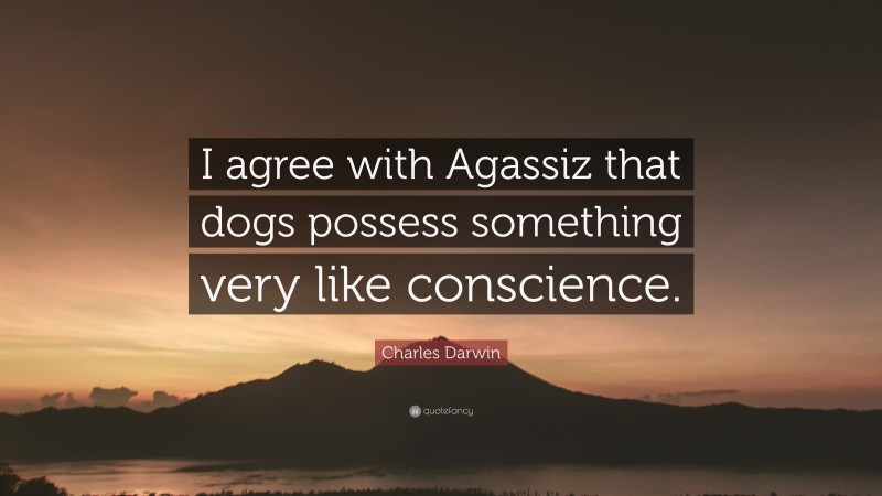 Charles Darwin Quote: “I agree with Agassiz that dogs possess something very like conscience.”