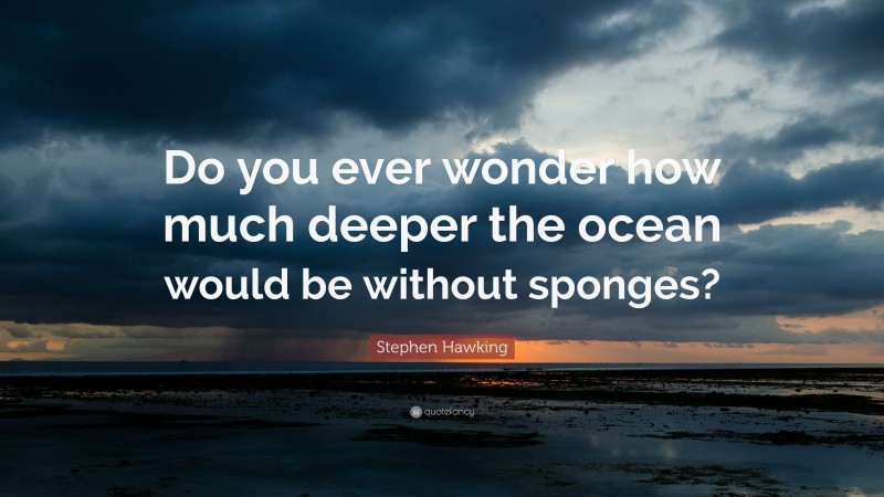 Stephen Hawking Quote: “Do you ever wonder how much deeper the ocean would be without sponges?”