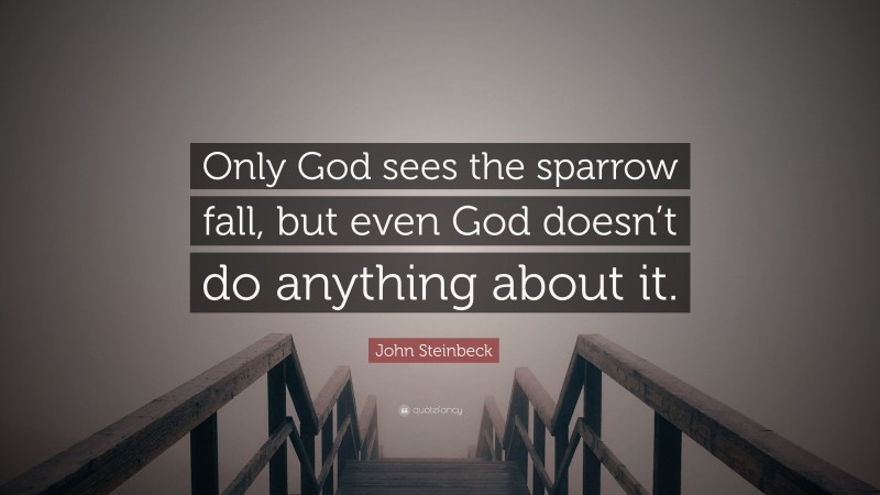 John Steinbeck Quote: “Only God sees the sparrow fall, but even God doesn’t do anything about it.”