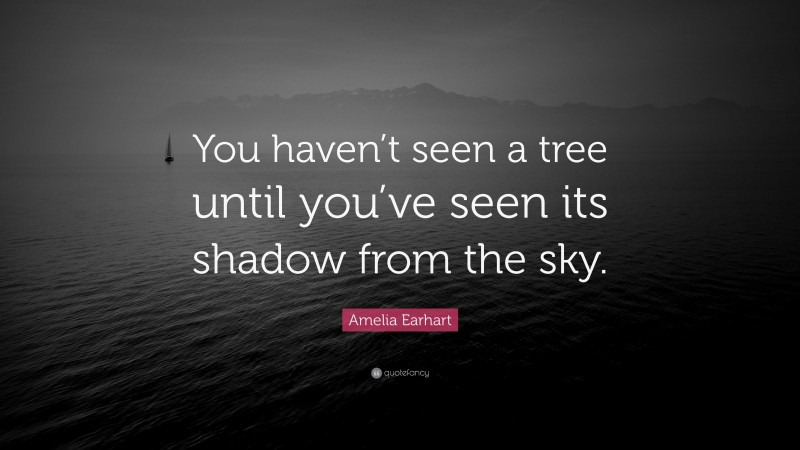 Amelia Earhart Quote: “You haven’t seen a tree until you’ve seen its shadow from the sky.”