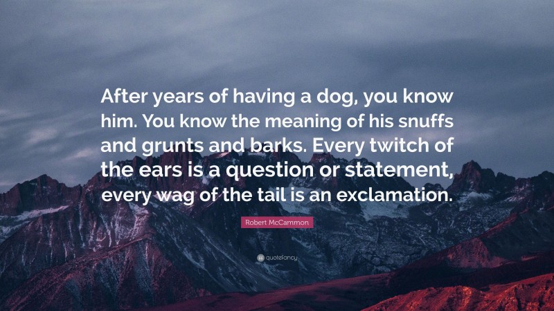Robert McCammon Quote: “After years of having a dog, you know him. You know the meaning of his snuffs and grunts and barks. Every twitch of the ears is a question or statement, every wag of the tail is an exclamation.”